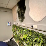 photo of the retreat sensory room wall